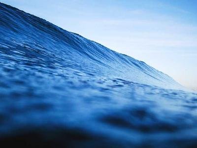 山水入室，墨韵传家——蚌埠龙子湖畔的中式雅居